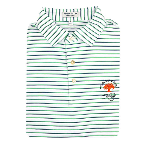 Peter Millar Dunnes Performance Polo