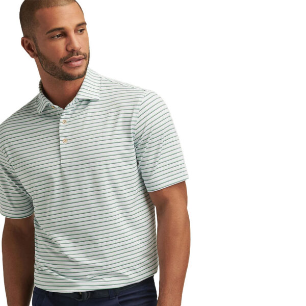 Peter Millar Dunnes Performance Polo