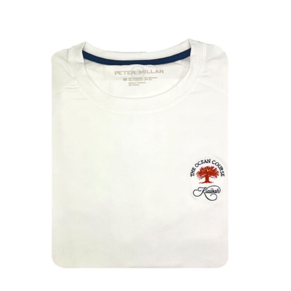 Peter Millar Aurora Performance T-Shirt